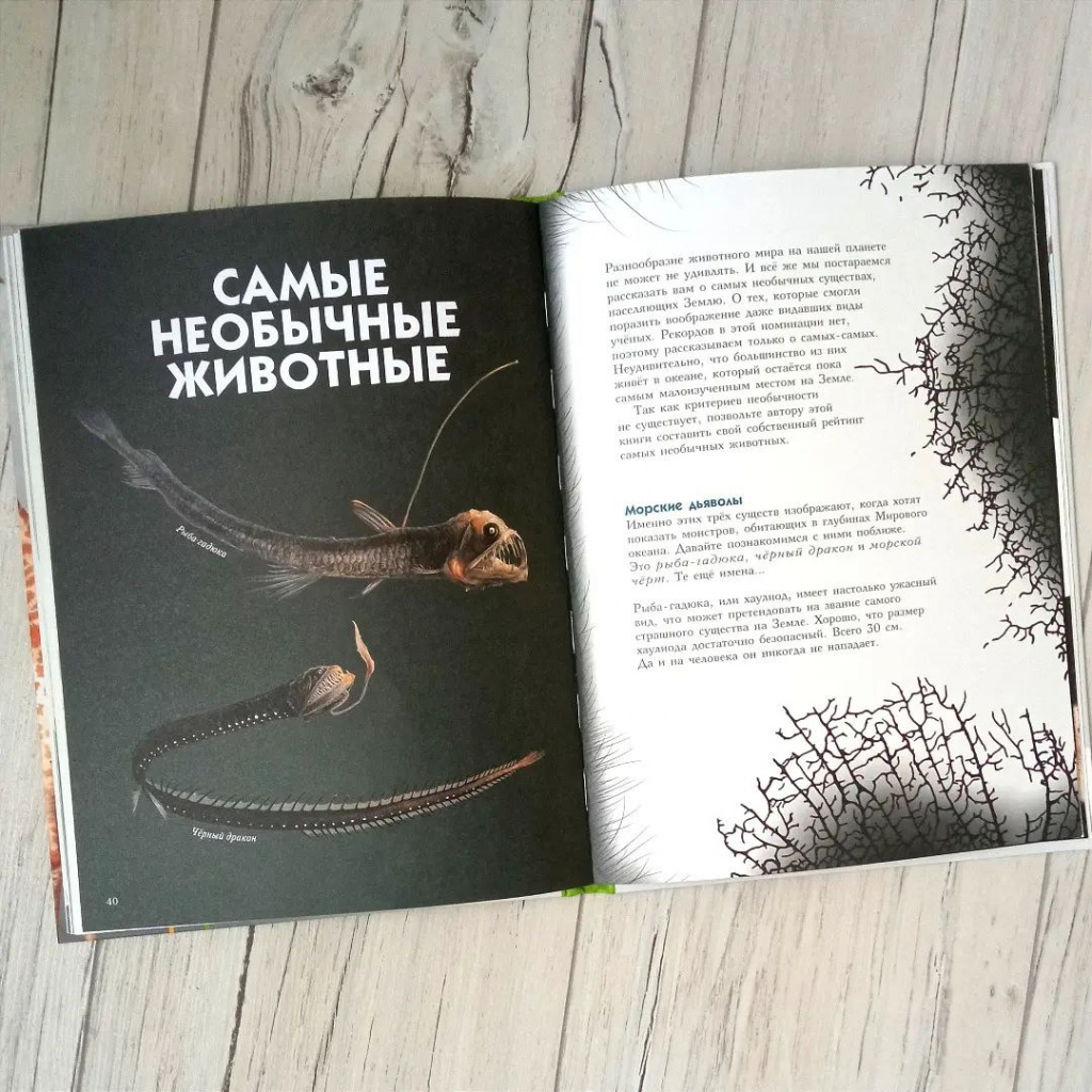 Самые необычные