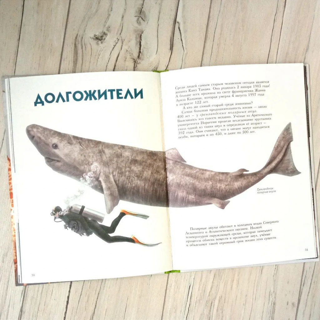 Долгожители